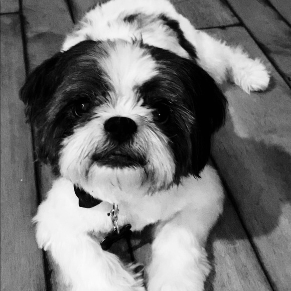 Meet your Posher, Renee - Picture 2 of 2